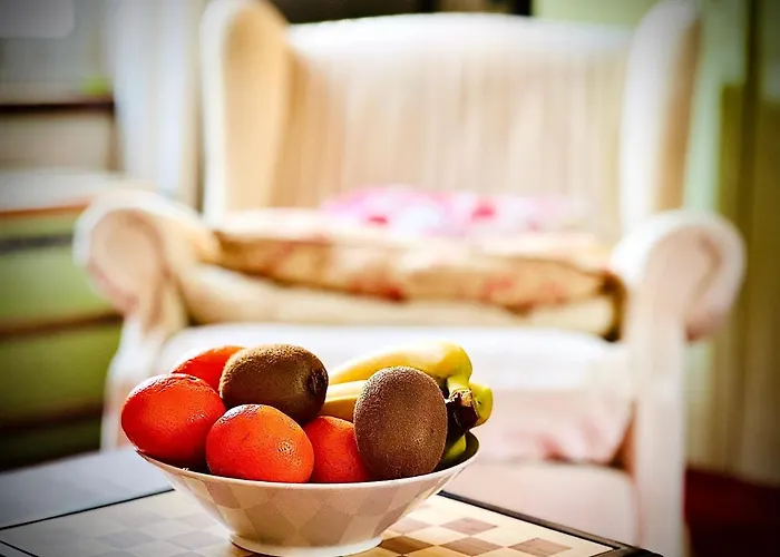 Amazing Hyper Center Appartement